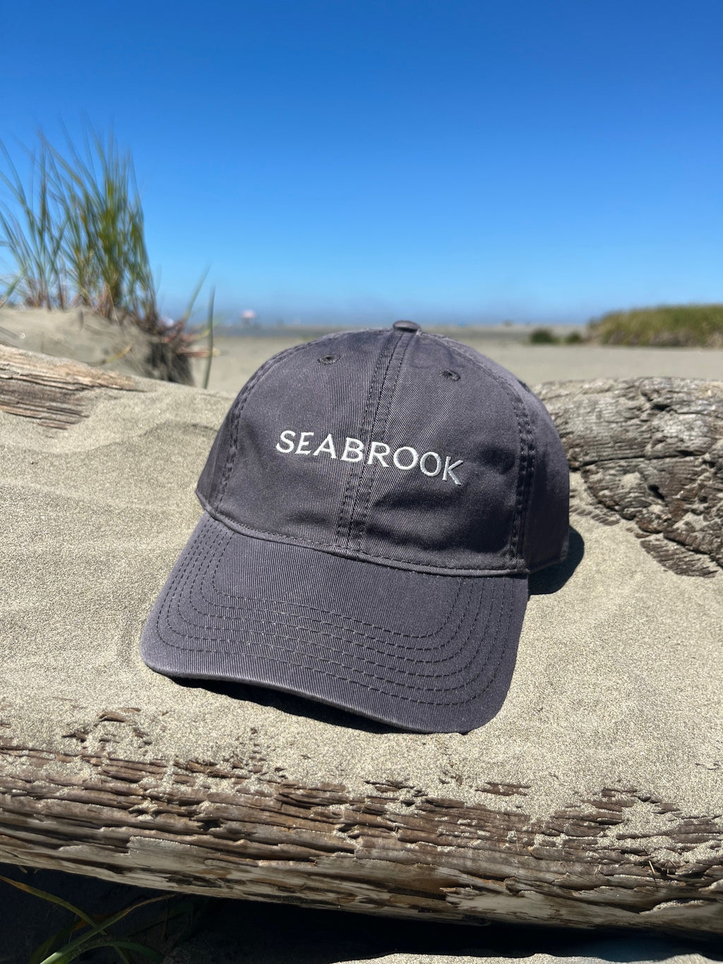 Adult Relaxed Twill Logo Hat