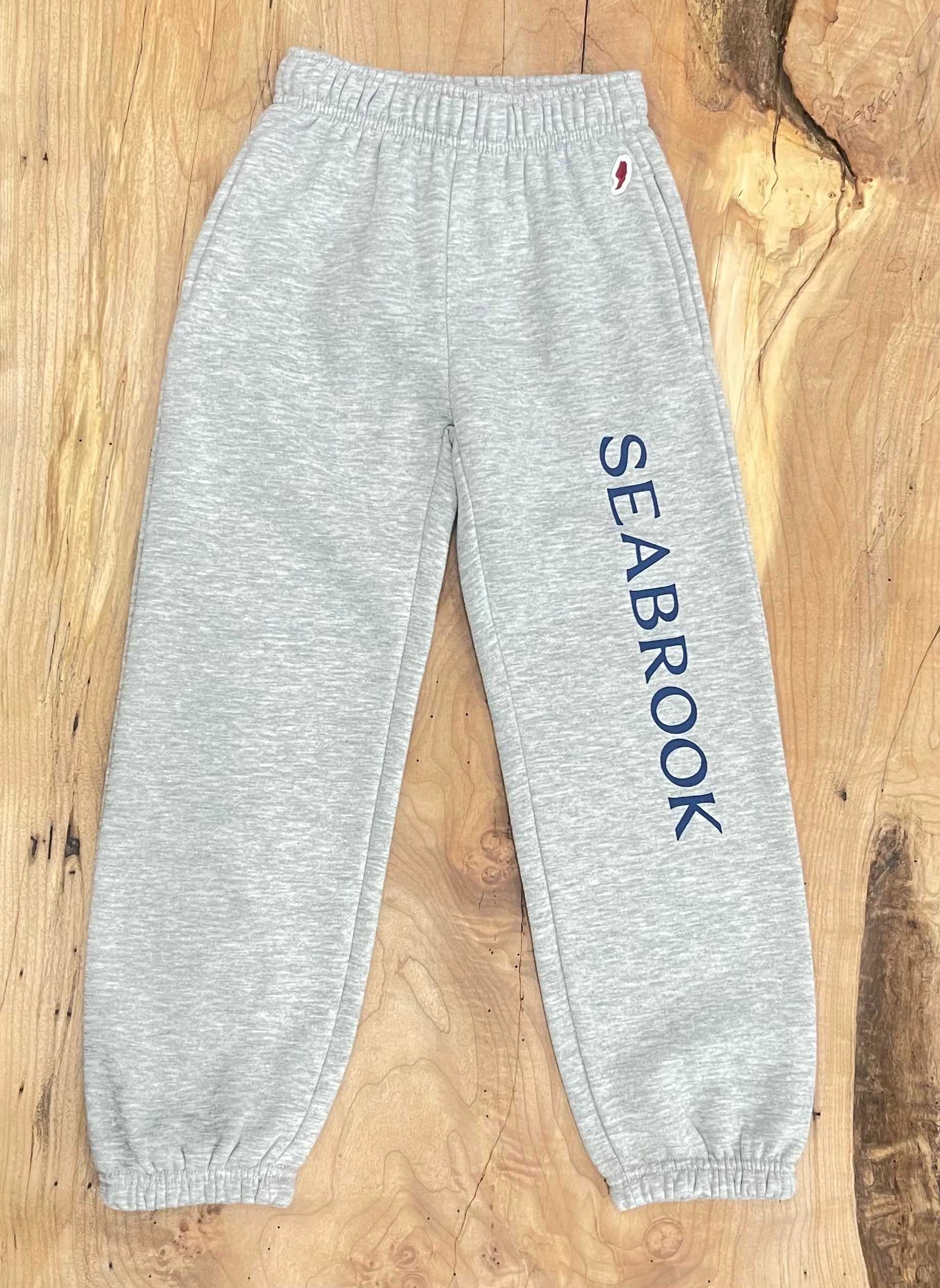 Youth Big Logo Jogger