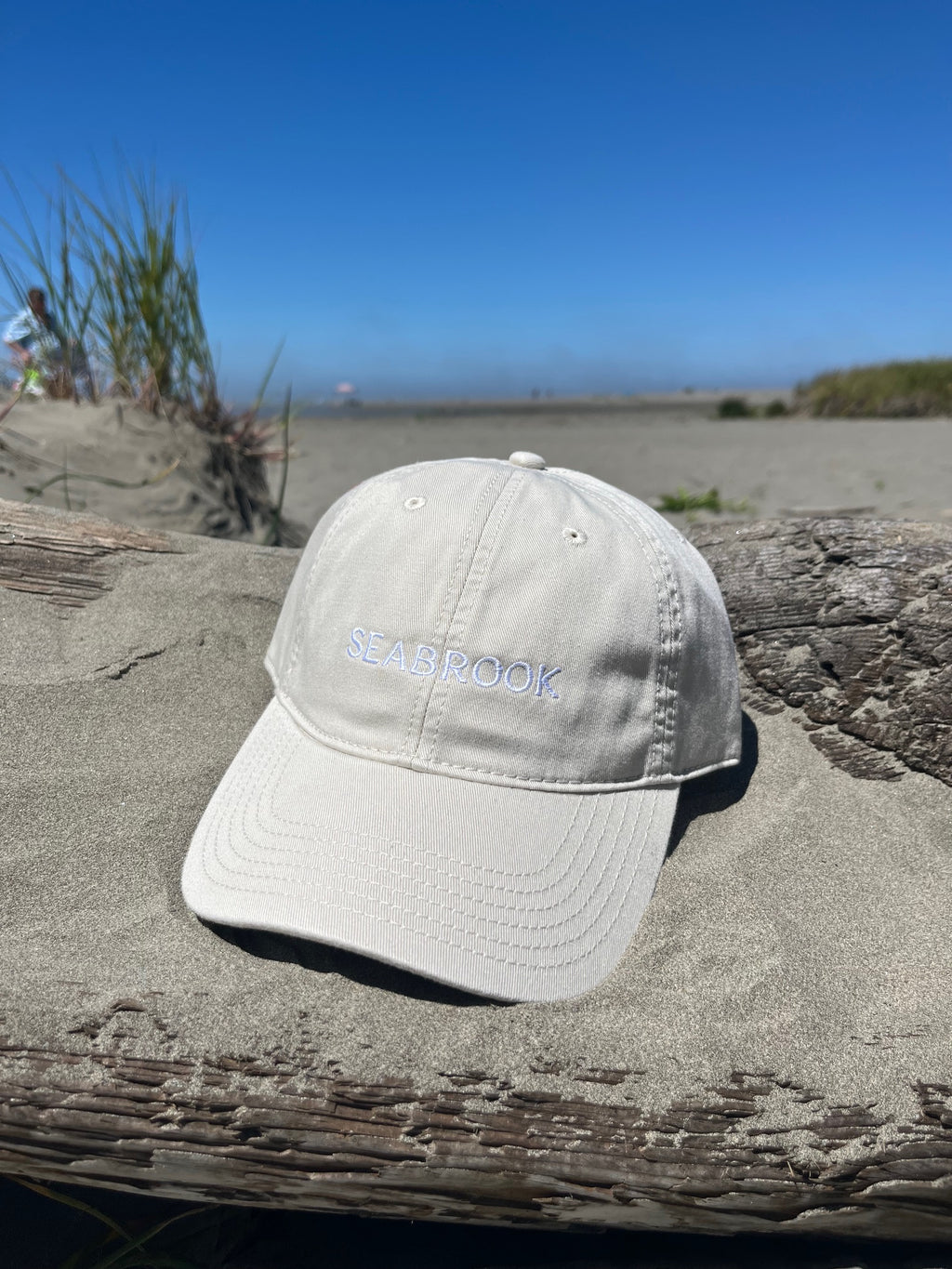 Adult Relaxed Twill Logo Hat